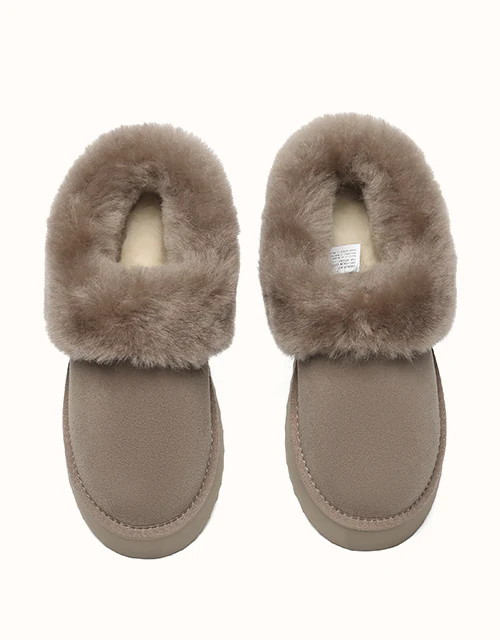 AUSTRALIAN SHEPHERD? Clarrie Platform