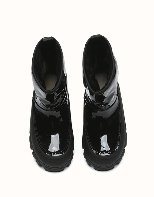 AUSTRALIAN SHEPHERD? Wren