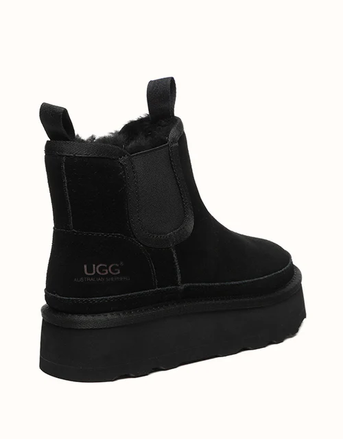 AUSTRALIAN SHEPHERD? Chelsie Platform