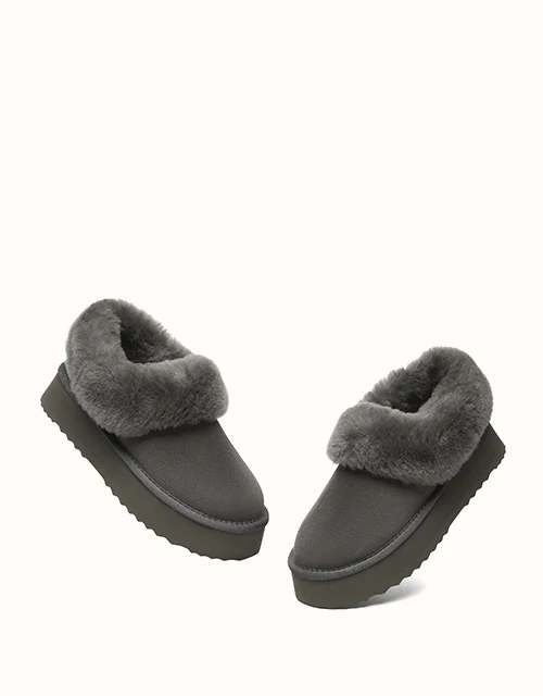 AUSTRALIAN SHEPHERD? Clarrie Platform