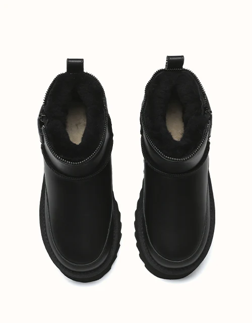 AUSTRALIAN SHEPHERD® Arya