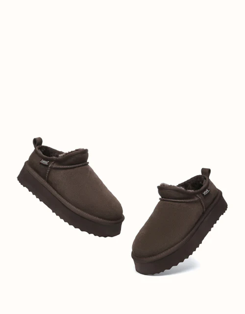 AUSTRALIAN SHEPHERD? Nano Classic Platform