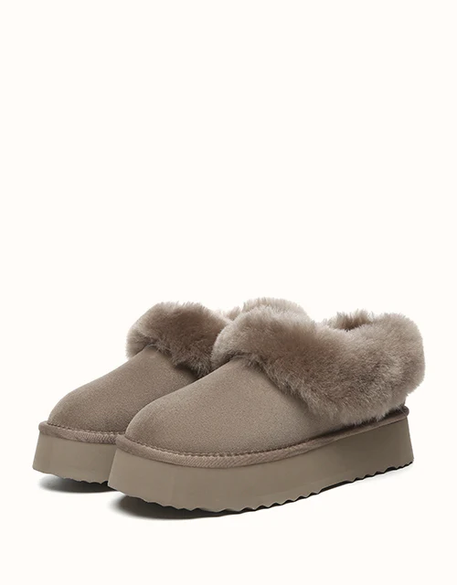 AUSTRALIAN SHEPHERD? Clarrie Platform