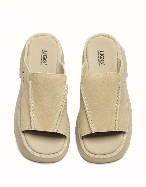 Australian Shepherd? Haive