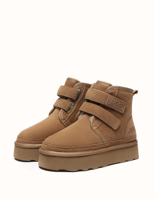 AUSTRALIAN SHEPHERD? Vigour