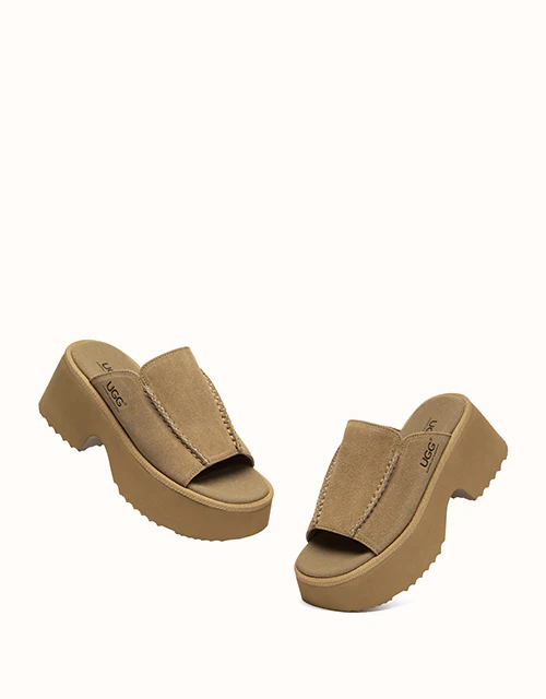 Australian Shepherd? Haive