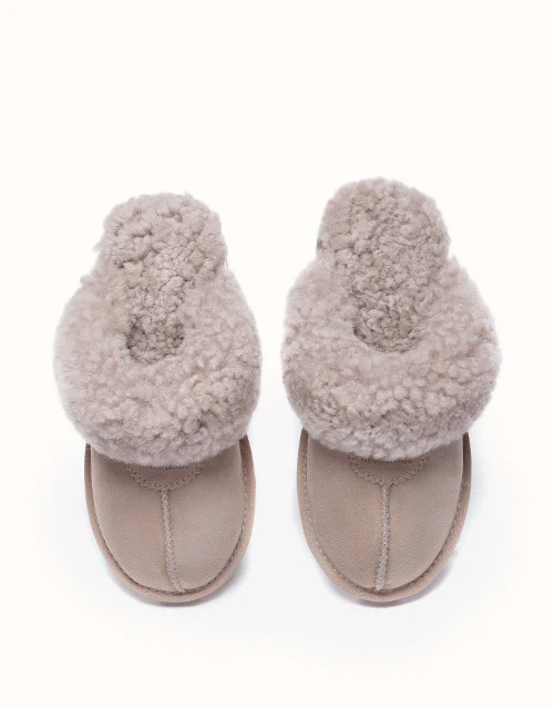 AUSTRALIAN SHEPHERD® Waffle Curly