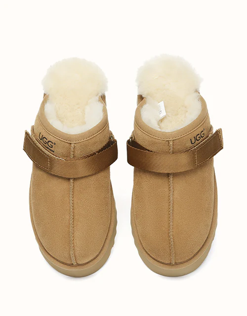 AUSTRALIAN SHEPHERD? Cozeln