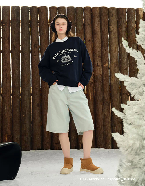 AUSTRALIAN SHEPHERD? Harrison