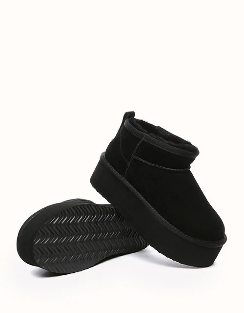 AUSTRALIAN SHEPHERD? Saylor Ultra Platform