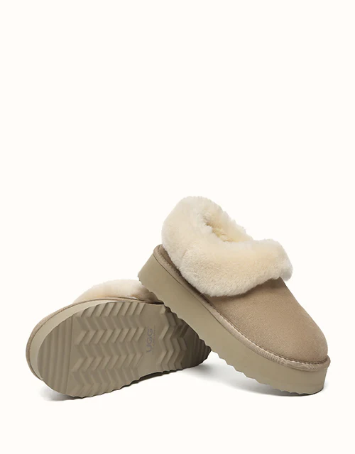 AUSTRALIAN SHEPHERD? Clarrie Platform