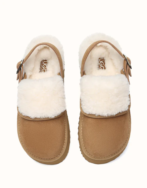 AUSTRALIAN SHEPHERD? Tenley Platform