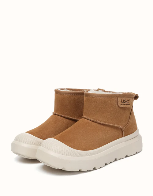 AUSTRALIAN SHEPHERD? Harrison