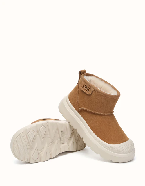 AUSTRALIAN SHEPHERD? Harrison