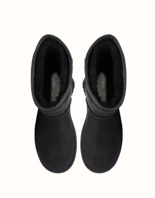 AUSTRALIAN SHEPHERD® SHORT CLASSIC