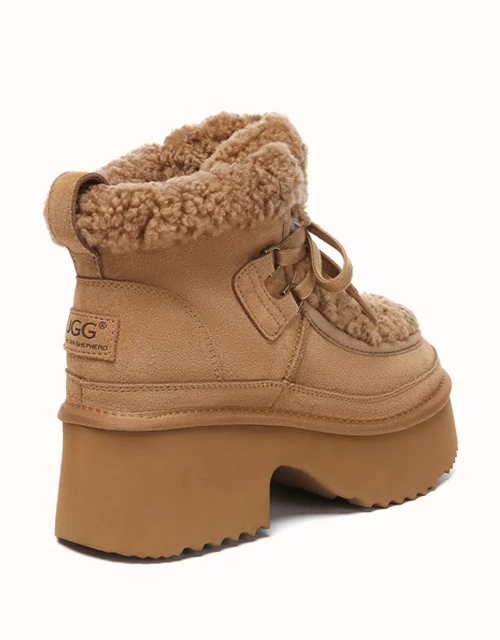 AUSTRALIAN SHEPHERD? Bumpy