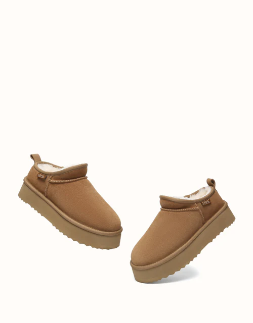 AUSTRALIAN SHEPHERD? Nano Classic Platform