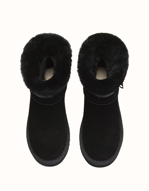 AUSTRALIAN SHEPHERD® Lienn