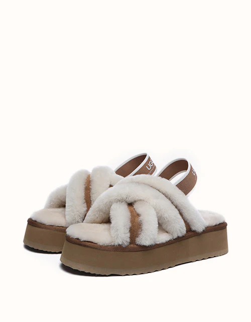 AUSTRALIAN SHEPHERD? Aditi