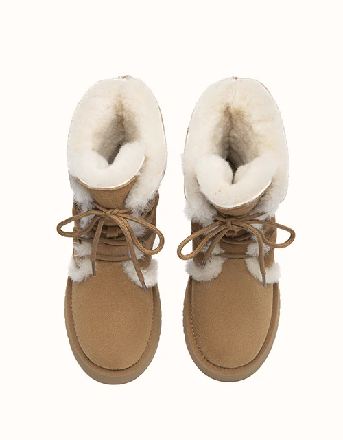 AUSTRALIAN SHEPHERD® Brunor