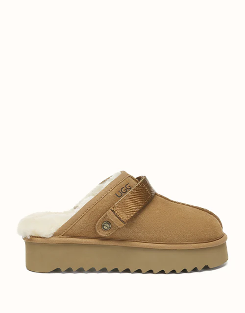 AUSTRALIAN SHEPHERD? Cozeln