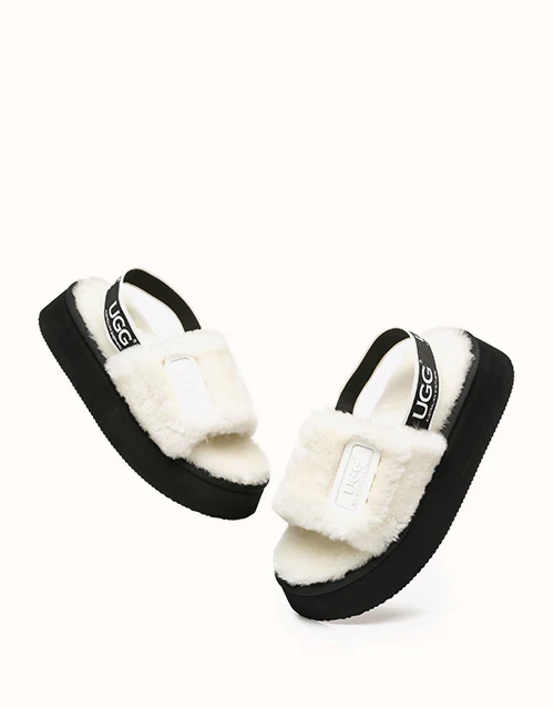 AUSTRALIAN SHEPHERD? Poppin