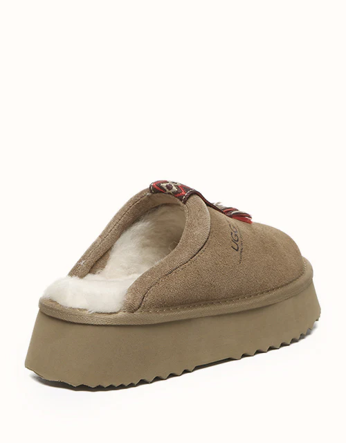 AUSTRALIAN SHEPHERD? Calla