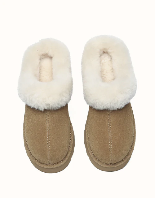 AUSTRALIAN SHEPHERD® Murray Platform