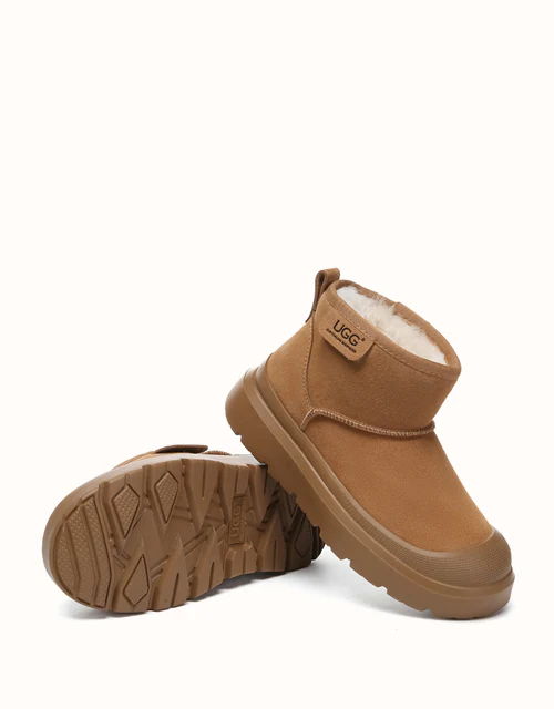 AUSTRALIAN SHEPHERD? Harrison