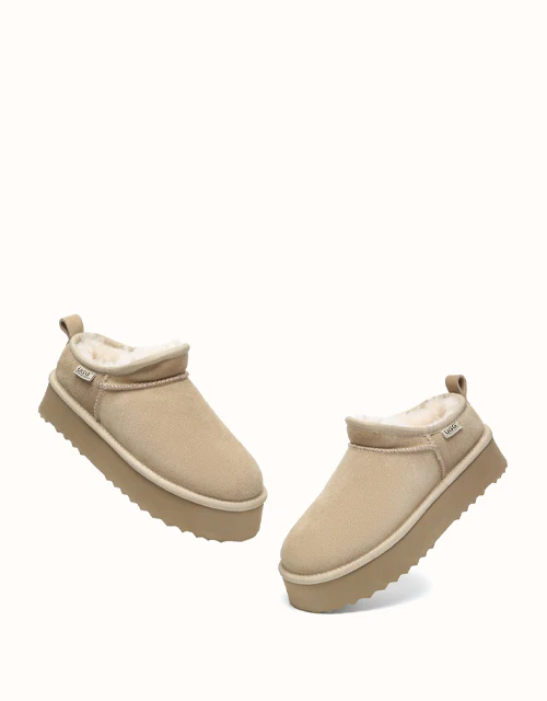 AUSTRALIAN SHEPHERD? Nano Classic Platform