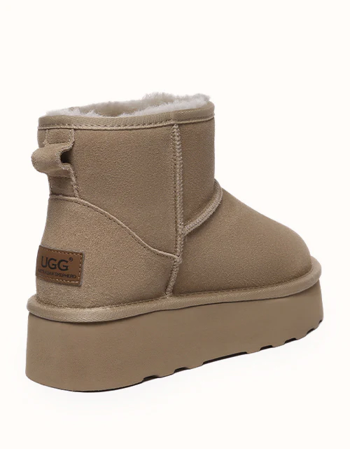 AUSTRALIAN SHEPHERD? Rommie Platform