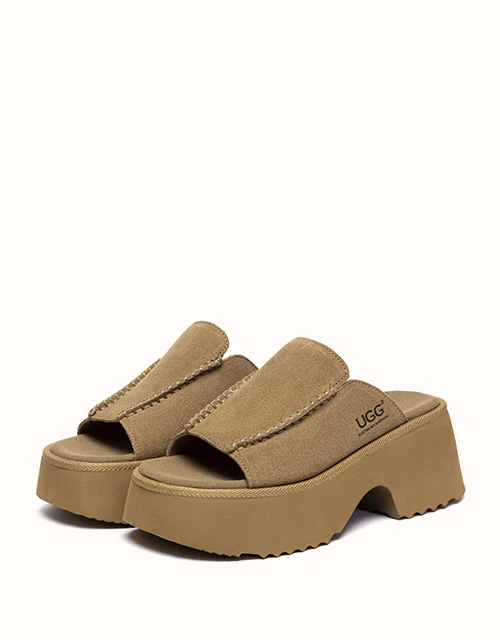 Australian Shepherd? Haive