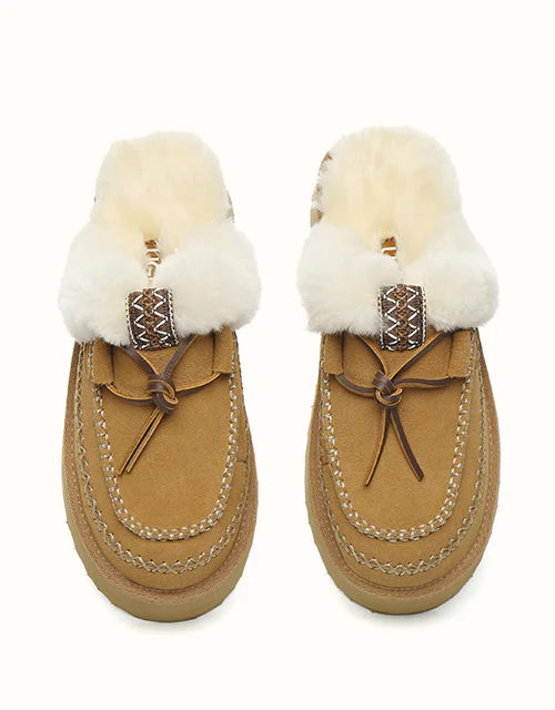 AUSTRALIAN SHEPHERD? Sammy