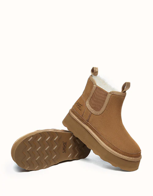 AUSTRALIAN SHEPHERD? Chelsie Platform