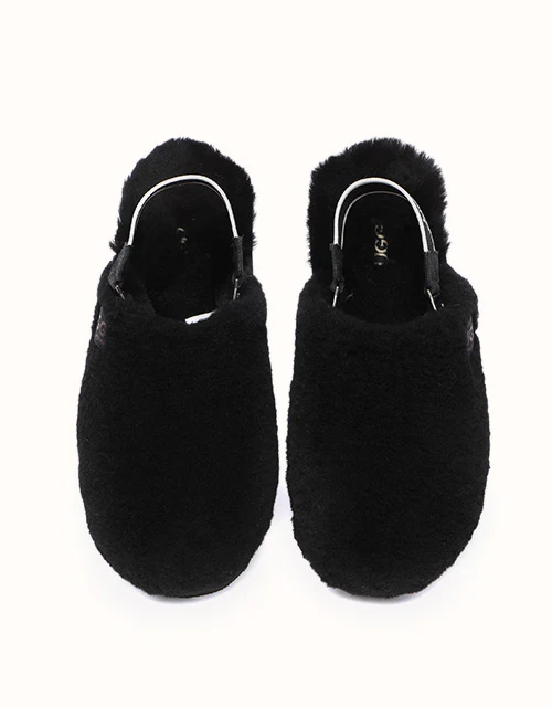 AUSTRALIAN SHEPHERD® Kamari