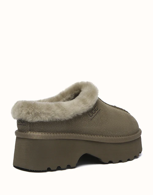 AUSTRALIAN SHEPHERD? Adrian