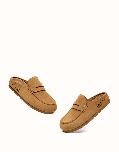 AUSTRALIAN SHEPHERD? Casten