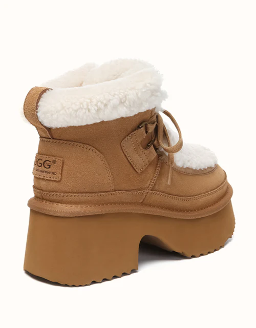 AUSTRALIAN SHEPHERD? Bumpy