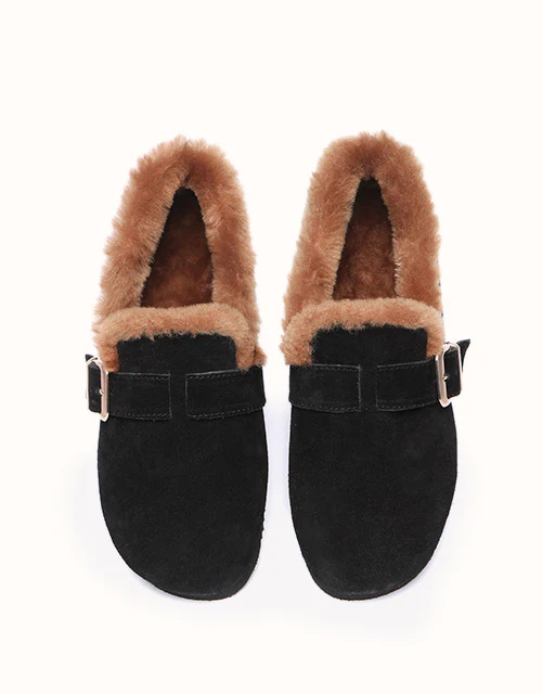 AUSTRALIAN SHEPHERD® Mona