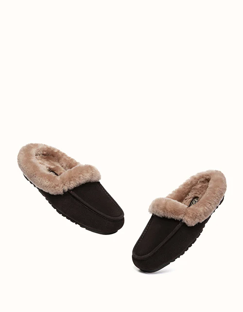 AUSTRALIAN SHEPHERD® Noelle