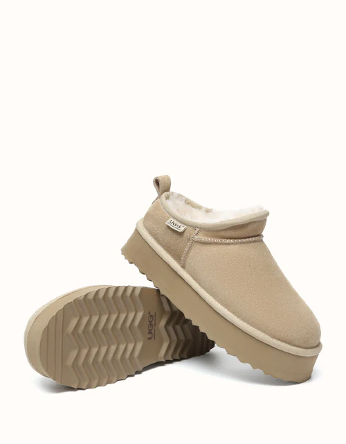 AUSTRALIAN SHEPHERD? Nano Classic Platform