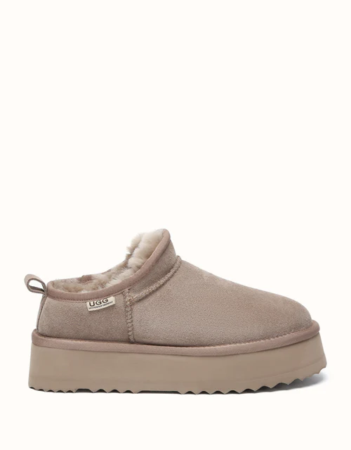 AUSTRALIAN SHEPHERD? Nano Classic Platform