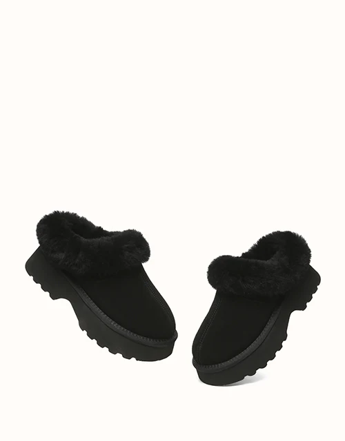 AUSTRALIAN SHEPHERD® Murray Platform