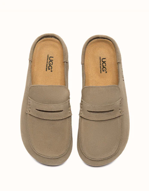 AUSTRALIAN SHEPHERD? Casten