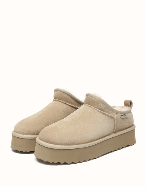 AUSTRALIAN SHEPHERD? Nano Classic Platform