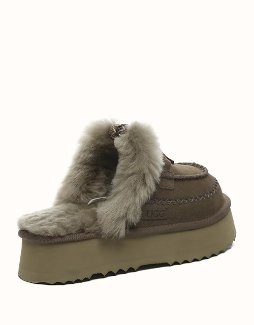 AUSTRALIAN SHEPHERD? Sammy