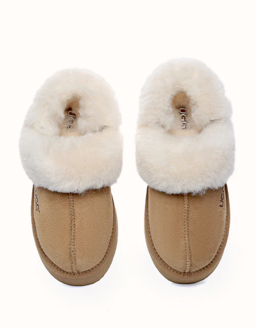 AUSTRALIAN SHEPHERD® Musa Platform