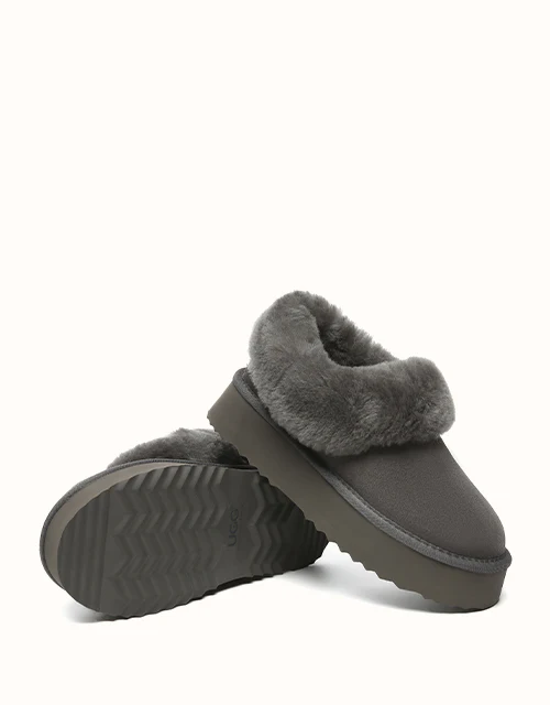 AUSTRALIAN SHEPHERD? Clarrie Platform