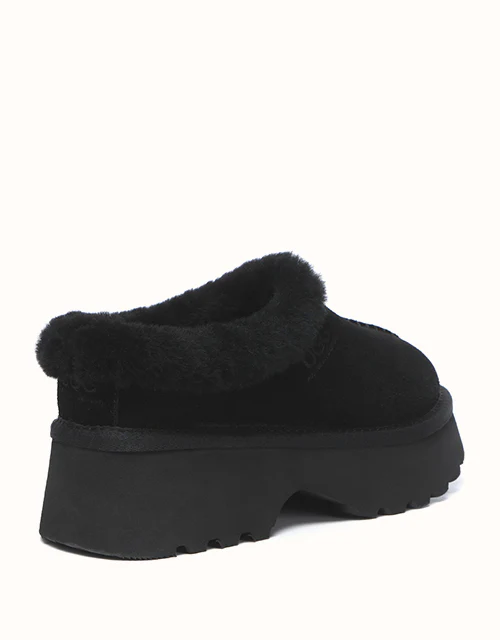 AUSTRALIAN SHEPHERD? Adrian