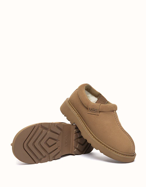 AUSTRALIAN SHEPHERD® Axton